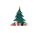 Hamara Desi Christmas